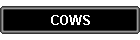 COWS