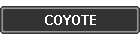 COYOTE