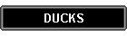 DUCKS