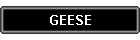 GEESE